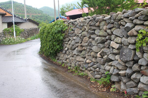 부여 외산면 반교마을 돌담.