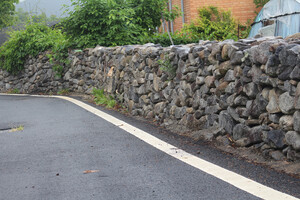 부여 외산면 반교마을 돌담.