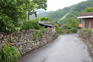 부여 외산면 반교마을 돌담.