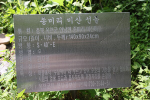 옥천 안남면 종미리 미산마을 선돌.