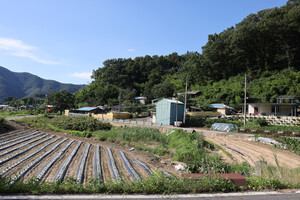 옥천 안남면 종미리 미산마을.