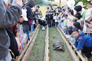 ‘유기농 테마파크’에서 열린 토끼와 거북이 달리기 경주.