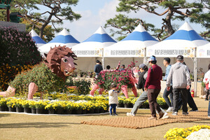 홍성사랑 축제축제 현장.