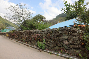 담양 가곡 어의곡리 한드미마을 돌담.