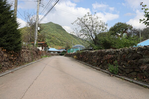 담양 가곡 어의곡리 한드미마을 돌담.