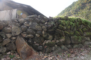 담양 가곡 어의곡리 한드미마을 돌담.
