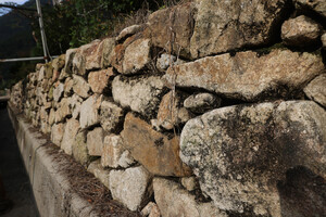 단양 가곡면 대대1리 돌담.