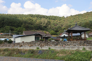 단양 가곡면 사평2리 돌담.