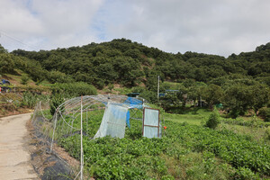 &nbsp;충남에서 인구가 가장 적은 8명이 사는 부여군 내산면 율암1리마을.&nbsp;