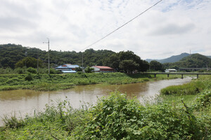 부여 내산면 율암1리앞 구룡천.