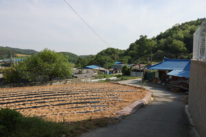 홍성 결성면 후청동마을 전경.