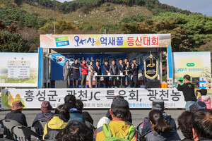 억새풀 등산대회에 참여한 관계자들이 기념 촬영을 하고 있다.