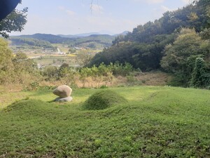 한성준 선생의 묘소는 김좌진 장군 생가지를 마주하고 있다.