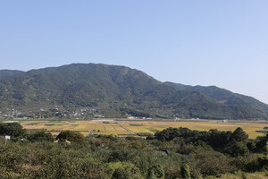 경남 하동 평사리들판.