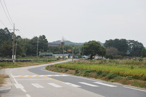 부여 임천 구교리 옛장터, 부여만세시작장소.