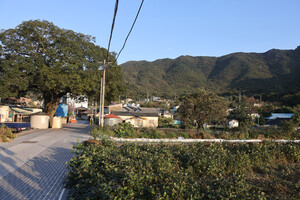 양산 화제리 가야부인의 시아버지가 산 명언마을 전경.