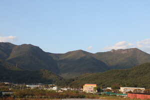 양산 화제리 대밭각단 죽전 전경.