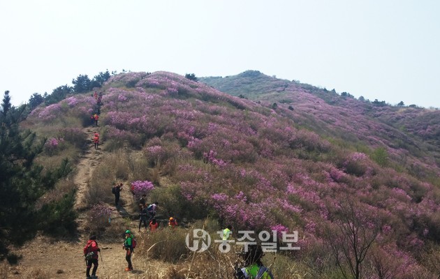 광천읍 주민자치위원회는 지난 10일 광천읍민 120여 명과 함께 여수 영취산을 등반했다. 광천읍 주민자치위원회는 여수 영취산을 시작으로 앞으로도 세 차례 등반을 계획 중이다.