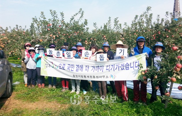 충청지방통계청 홍성사무소(소장 정공선)는 지난 11일 노동력 부족으로 어려움을 겪는 과수 농가를 찾아 반사필름 피복 등 농촌 일손돕기를 실시했다.