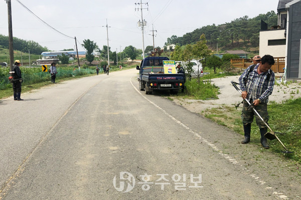 홍동면 주민들이 도로변 제초작업을 실시하고 있다.