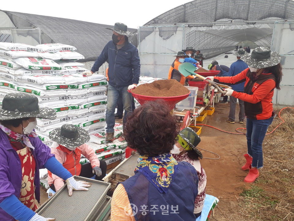 공동과제포 못자리 설치현장.