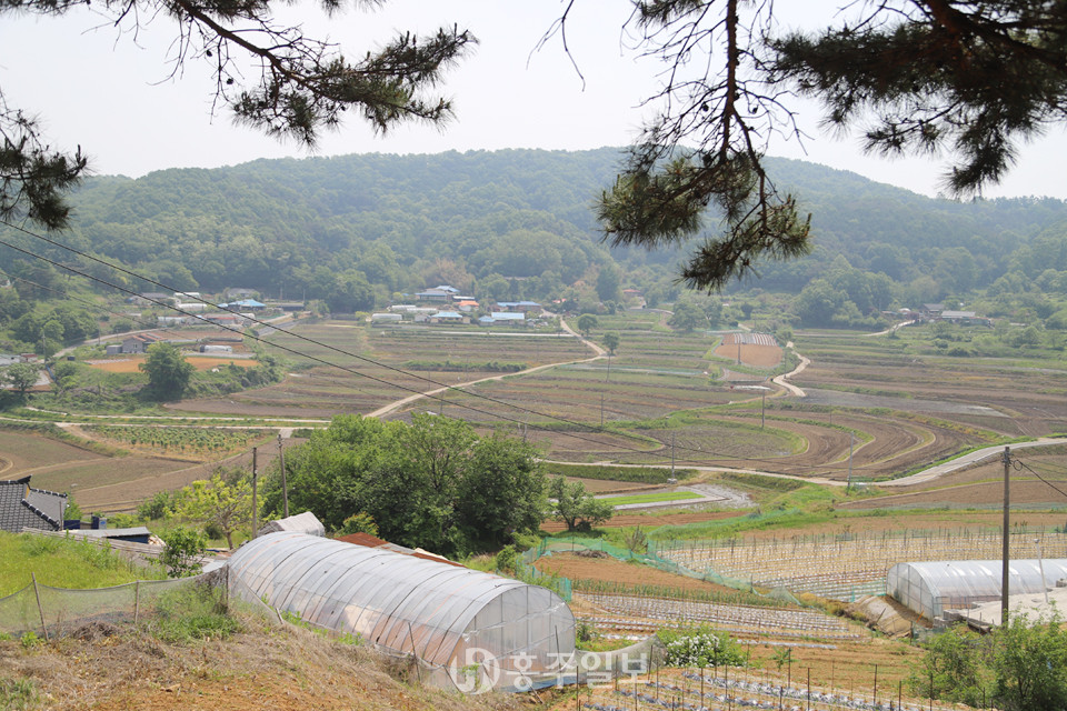 소새울 마을 전경.