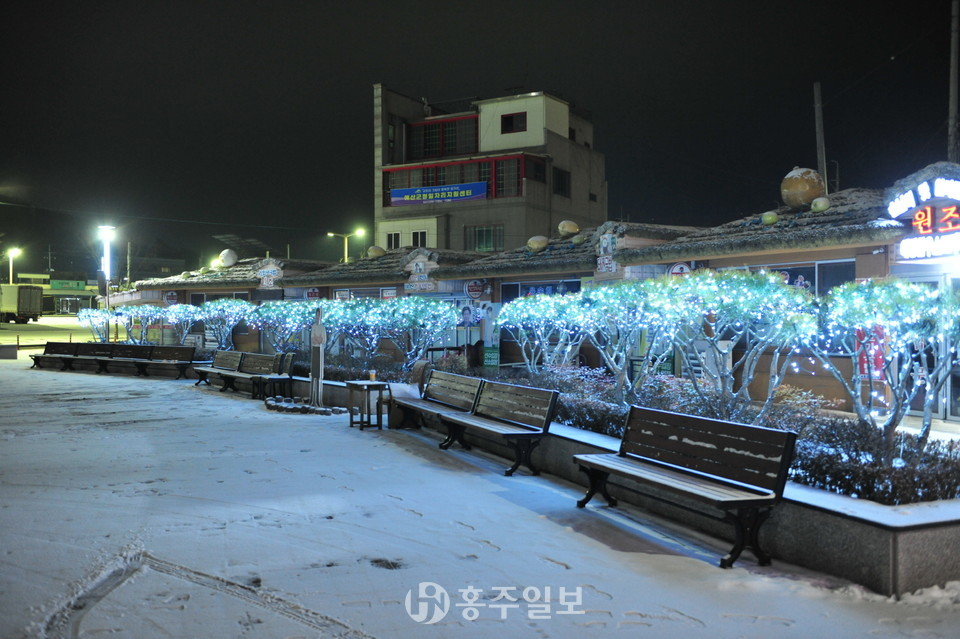 예산시네마 인근(백종원국밥거리) 가로수 야간경관조명.