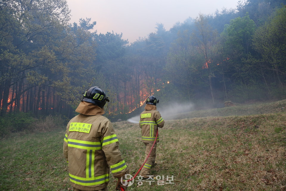 지난해 4월 홍성군 장곡면에서 발생한 산불 진압 중인 소방대원들