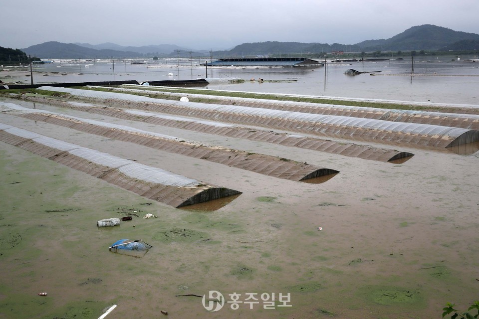 청양군 집중호우 피해 현장. 비닐하우스가 깊게 잠겨있는 모습.