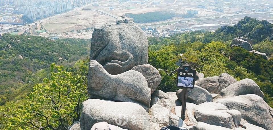 용봉산 물개바위.