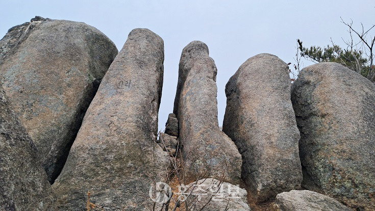 수암산 오형제바위.