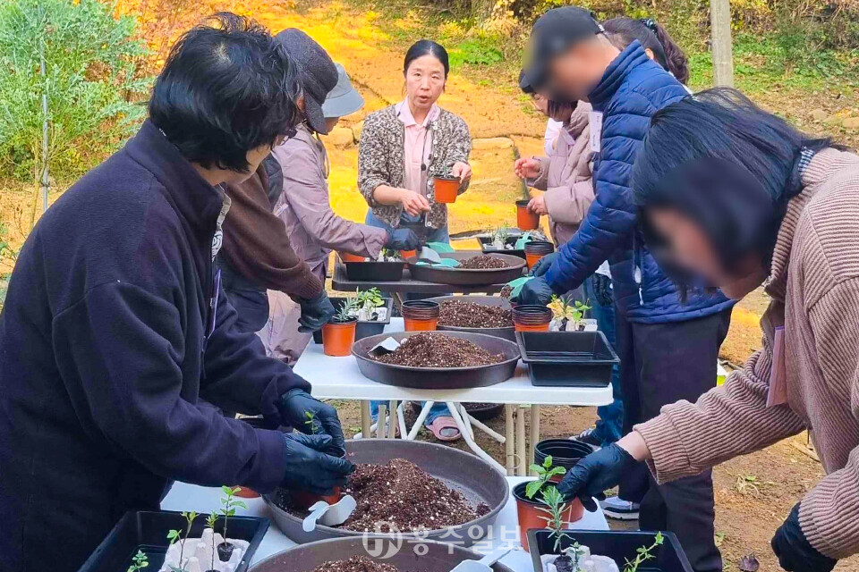 치유농업 프로그램에 참여한 대상자들이 식물을 매개로 정서적 치유를 하고 있다.